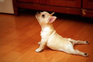 Stretching, Manifesting, Law of Attraction, Raising Vibration